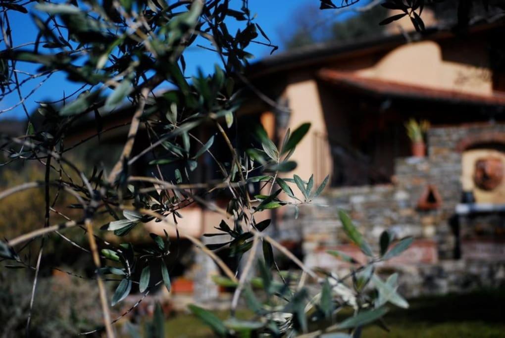 Conca Di Sopra Home Corsanico-Bargecchia Exterior foto